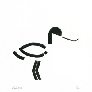 Avocet print