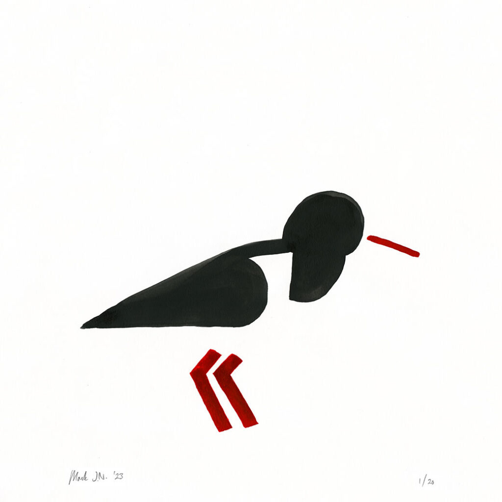 Oystercatcher Print