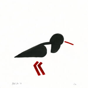 Oystercatcher Print